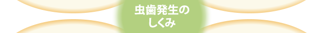 虫歯発生のしくみ